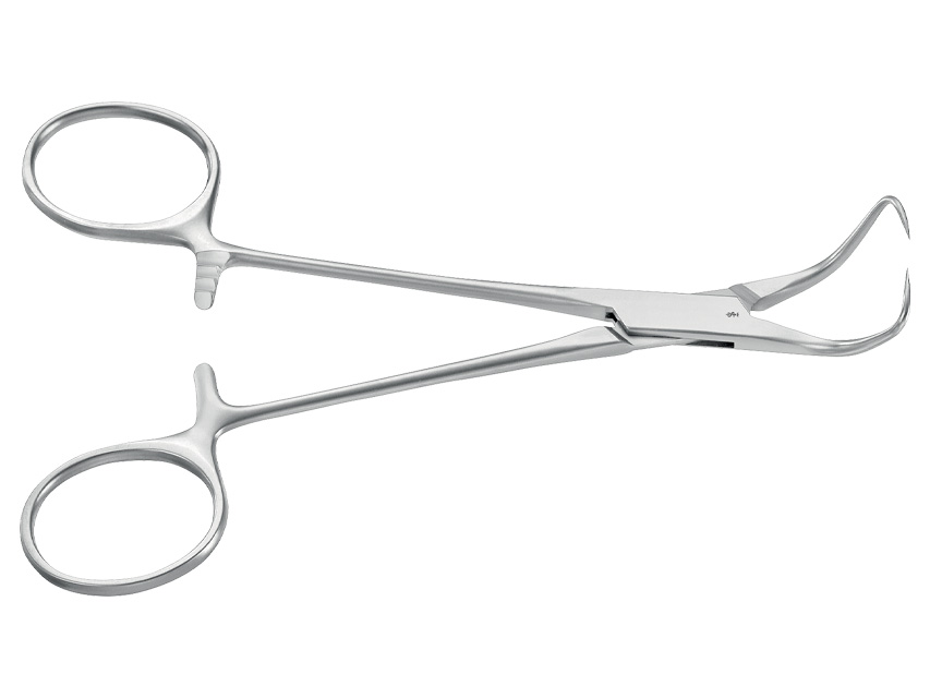 PINZA FISSATELI BACKHAUS AESCULAP - curva - punte acute - 13,5 cm - BF433R