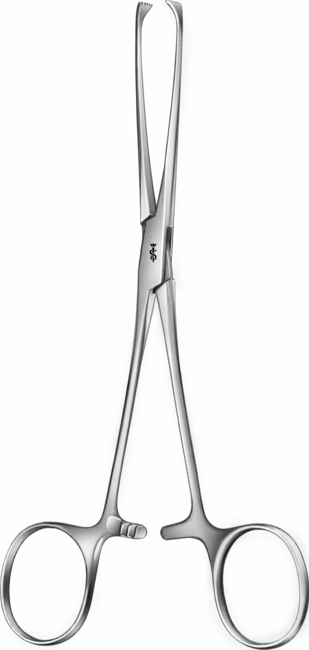 PINZA INTESTINALE ALLIS 5x6 DENTI 155MM