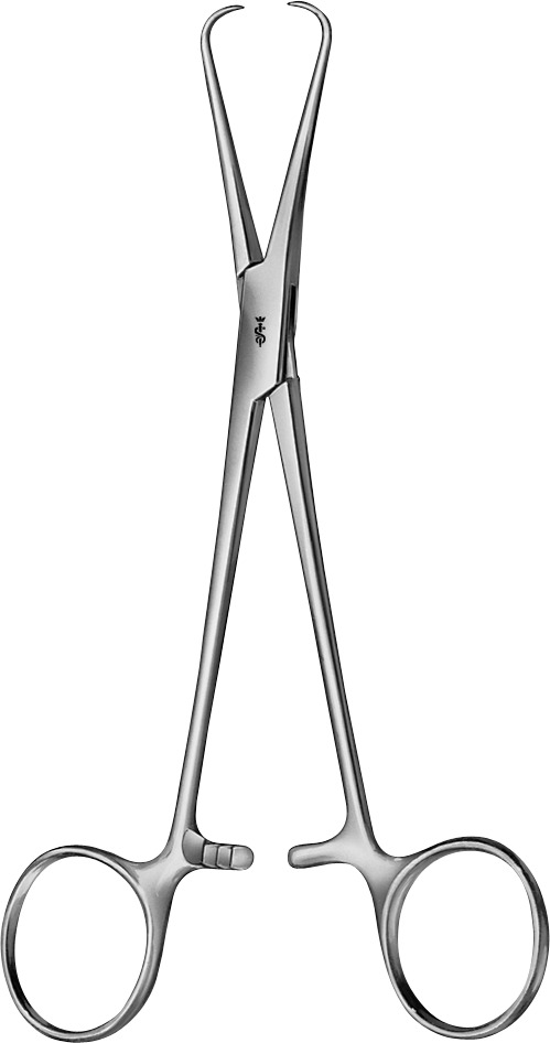 PINZA CHAMP BERNHARD RET.160MM