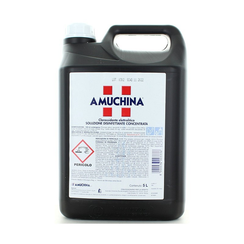 Amuchina 100% professionale 5 lt