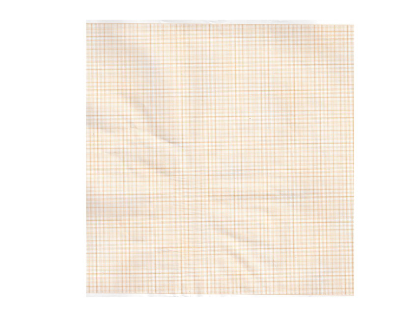 Carta termica ECG 215x25 mmxm  rotolo griglia arancio