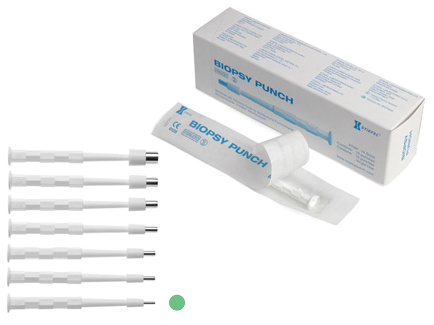 CURETTE BIOPSIA-PUNCH STIEFEL diametro 2 mm
