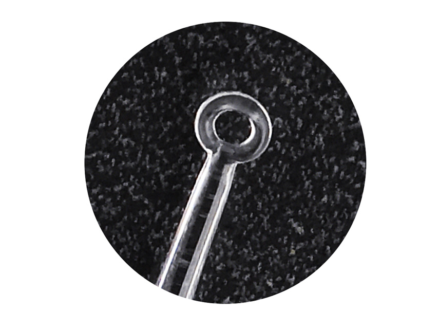 ALGEL LOOP - trasparente + 1 illuminatore LED