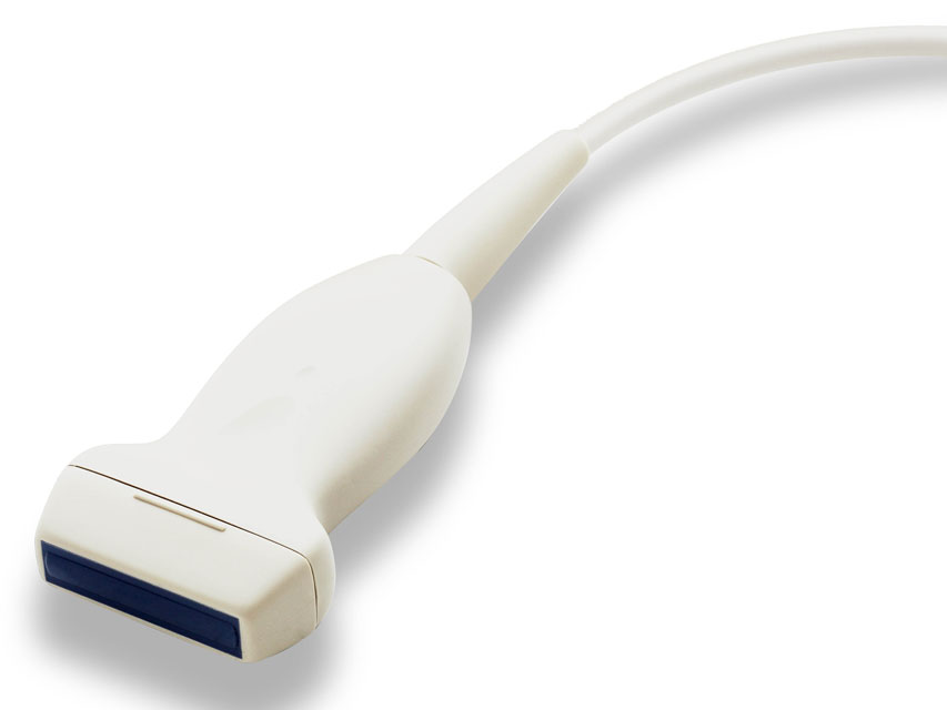 SONDA LINEARE per DP-10, DP-20, DP-2200, DP10Vet