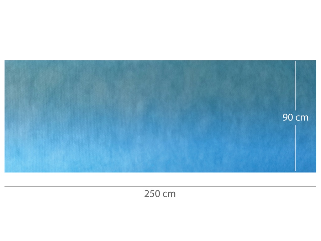 TAPPETINO ASSORBENTE IMPERMEABILE PRETAGLIATO 90 x 250 cm