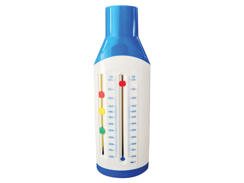MISURATORE DI PICCO DI FLUSSO 60-800 l/min - adulti