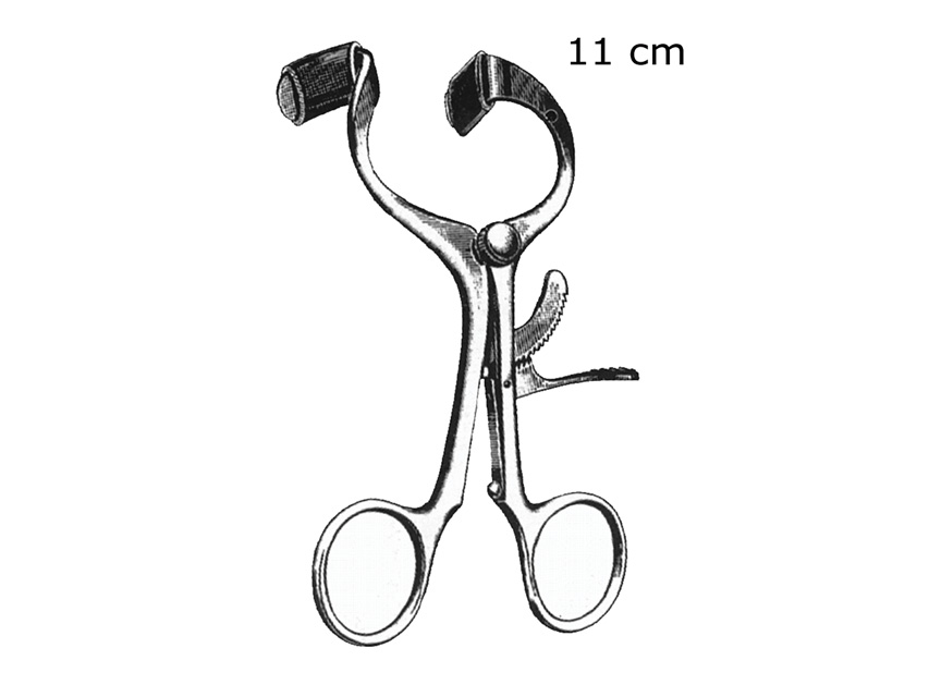 APRIBOCCA MOLT - 11 cm