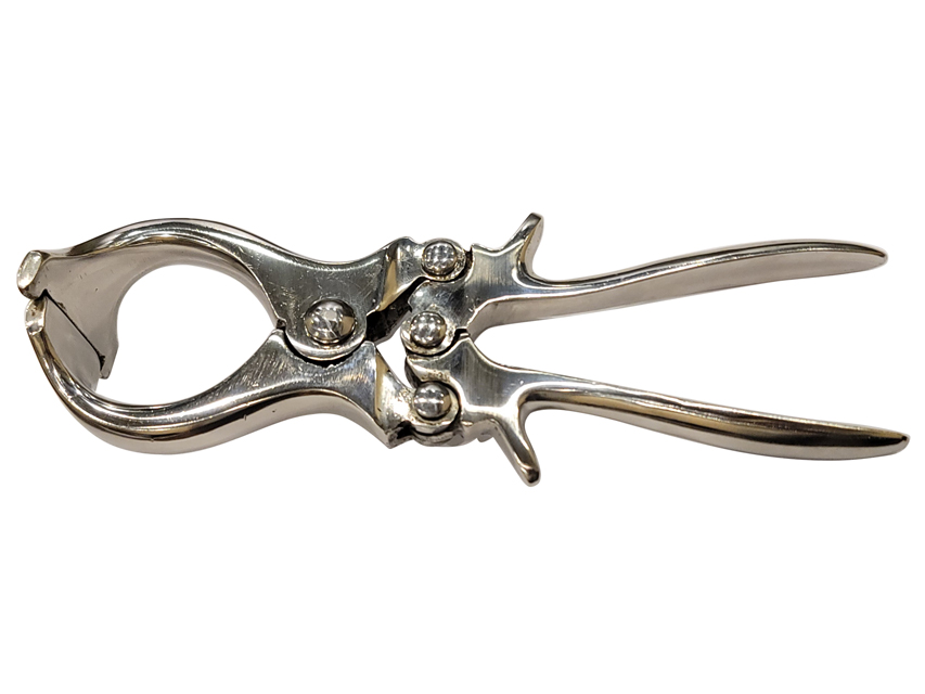 PINZA CASTRAZIONE BURDIZZO - 22 cm