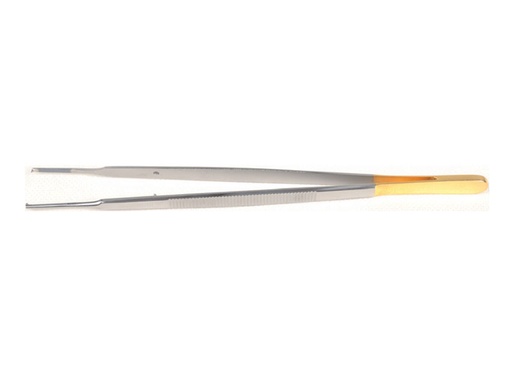 [GM-31464] PINZE GERALD C.T. - 17 cm - punte zigrinate