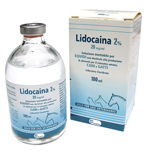 [SDF03031] Lidocaina cloridrato 200 mg 2% fiala 10ml
