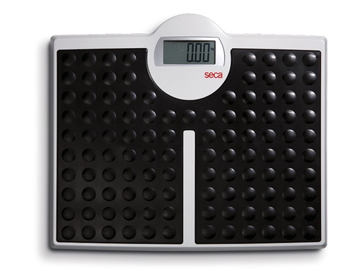 [GM-28803] BILANCIA DIGITALE PIATTA SECA 813
