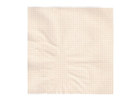 [GM-29268] Carta termica ECG 215x25 mmxm  rotolo griglia arancio