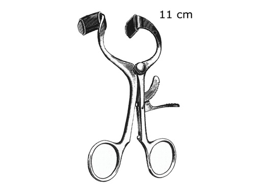 [60220] APRIBOCCA MOLT - 11 cm