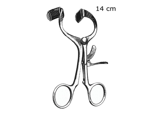 [GM-31252] APRIBOCCA MOLT - 14 cm