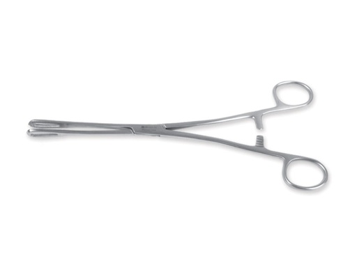 [GM-31349] PINZA RAMPLEY - 18 cm