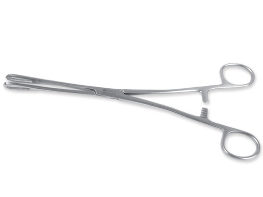 [GM-31351] PINZA RAMPLEY - 24 cm