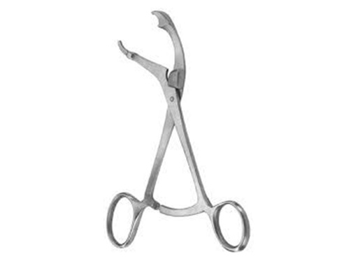 [GM-31360] PINZA OSSA VERBRUGE - 24 cm